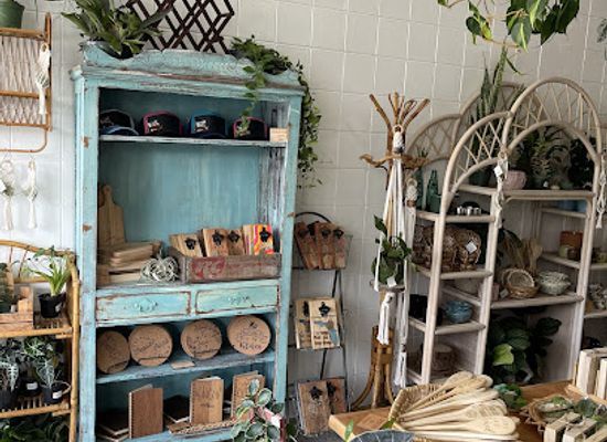 florida/st-petersburg/shop/knotted-roots
