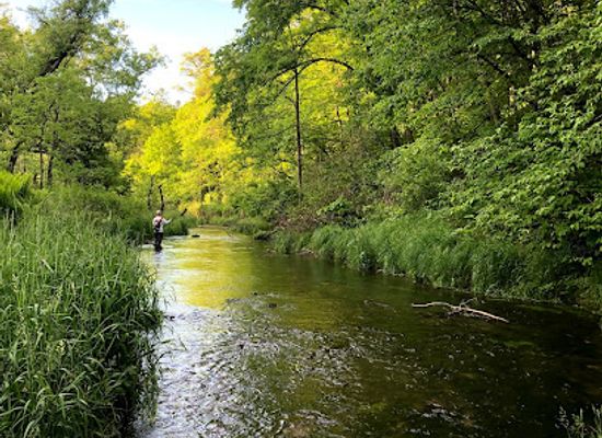 wisconsin/driftless-area/shop/driftless-angler