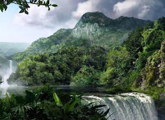 bolivia/amazon-basin/shop/parque-nacional-madidi