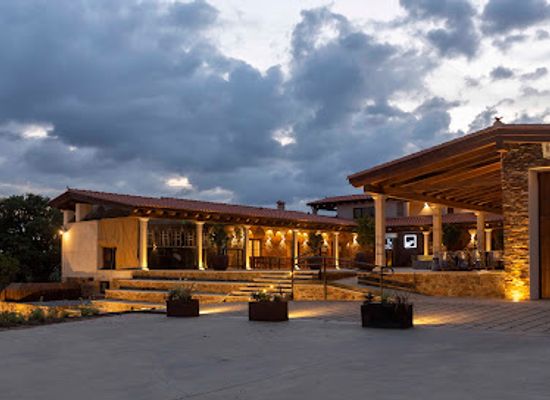 portugal/estremadura/shop/habitat-ciguena-negra