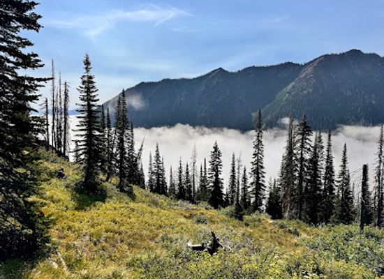 montana/the-bob-marshall-wilderness/shop/bob-marshall-wilderness-outfitters