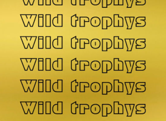 delaware/new-castle-county/shop/wildtrophys