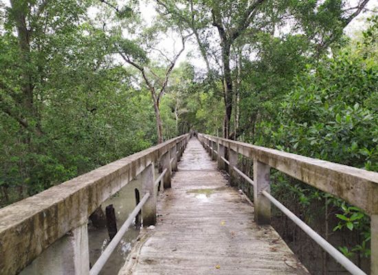 bangladesh/sundarbans/shop/karamjal