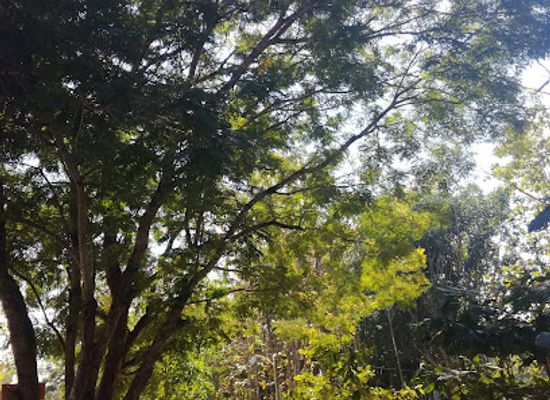 myanmar-burma/tanintharyi-region/shop/u-see-khin-store