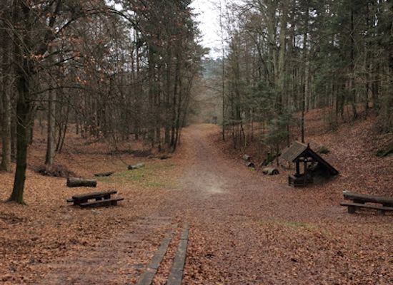 poland/roztocze/shop/krasnobrod-landscape-park
