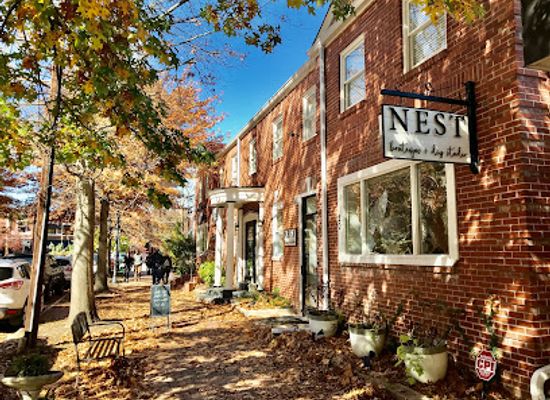 north-carolina/asheville-area/shop/nest-boutique