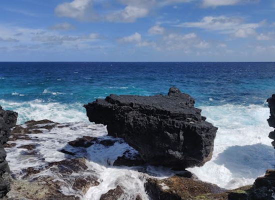 american-samoa/national-park-of-american-samoa/shop/turtle-and-shark
