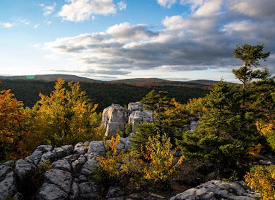 west-virginia/dolly-sods-wilderness/shop/dolly-sods-wilderness