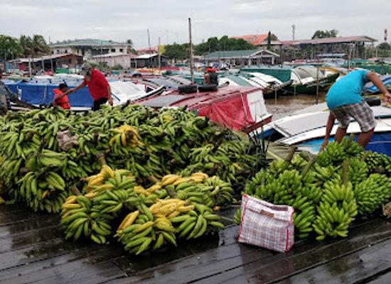 guyana/essequibo-river/shop/parika-ferry-stelling-east-bank-essequibo-guyana