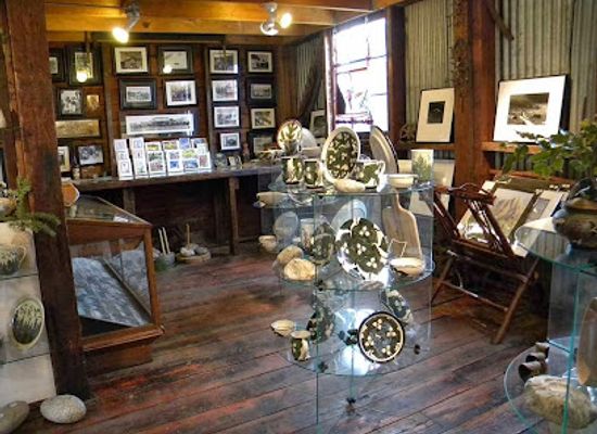 washington/mount-rainier-national-park/shop/ashford-creek-pottery
