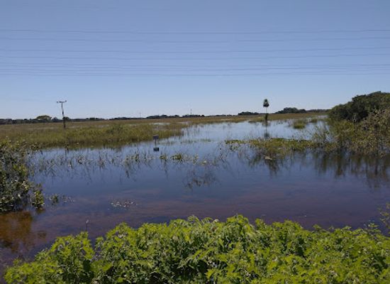 brazil/pantanal/shop/pantanal-matogrossense-national-park