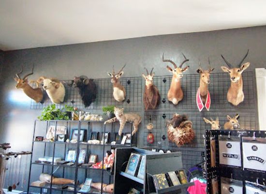 kentucky/louisville/shop/unorthodox