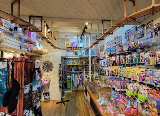 arkansas/eureka-springs/shop/tee-rex-toys-jayme-brandt-illustration-gallery