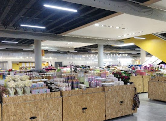 puerto-rico/bayamon-region/shop/bayamon-shopping-center
