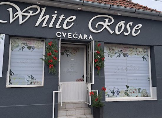 serbia/subotica/shop/white-rose-gift-shop-cvecara