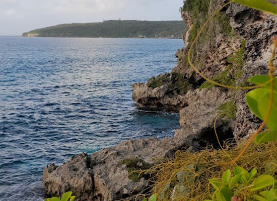 new-caledonia/mare/shop/marche-tenane