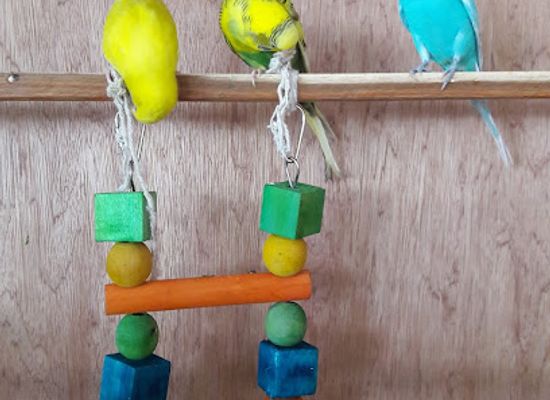 mauritius/port-louis/shop/concept-store
