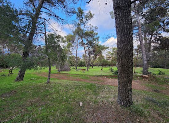 jordan/dibeen-forest/shop/dibeen-forest-sanctuary