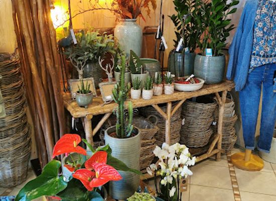 luxembourg/wiltz/shop/fleurs-fr-stemper