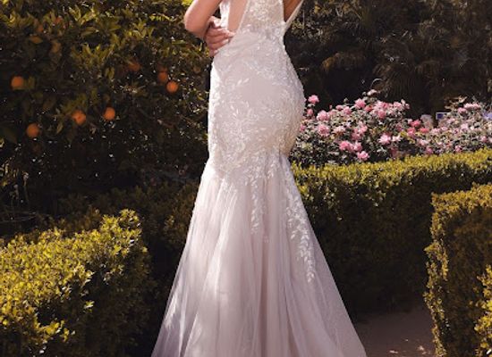 puerto-rico/carolina/shop/gallery-dress-boutique