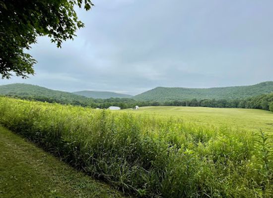 maryland/western-maryland/shop/sang-run-friends-store