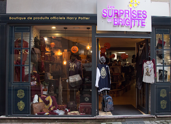 france/grenoble/shop/boutique-harry-potter-de-grenoble-les-surprises-de-brigitte