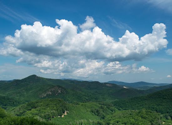 hungary/zemplen-mountains/shop/zemplen-mountains