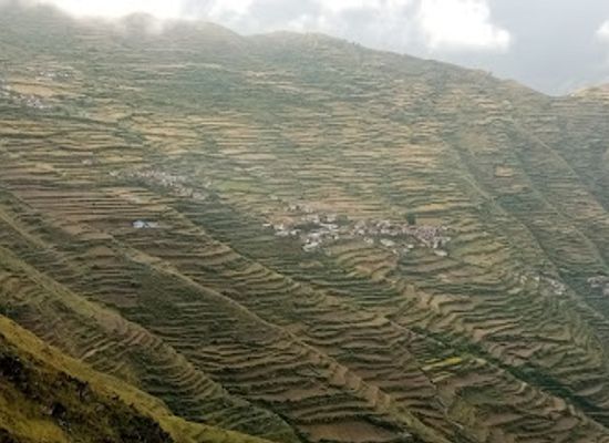nepal/karnali-zone/shop/vinod-art-and-kirana-pasal