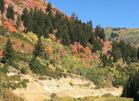 utah/snowbird-ski-resort/shop/cottonwood-canyons-realty