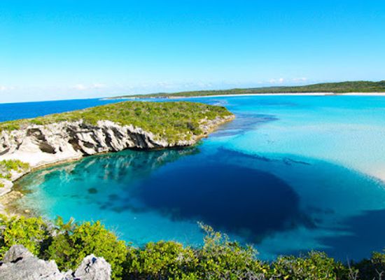 the-bahamas/andros/shop/west-side-national-park