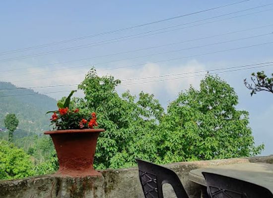 nepal/koshi-zone/shop/chhintang-shopping-centre