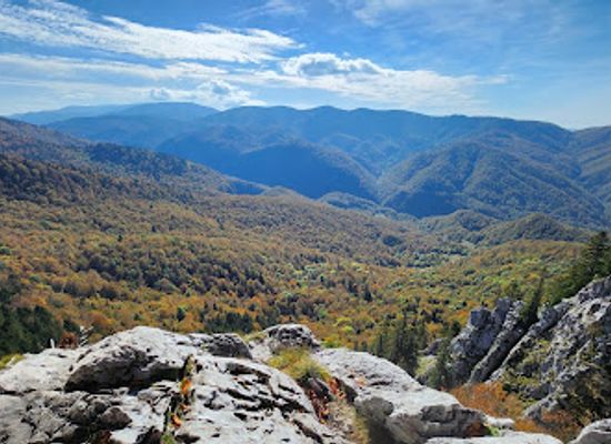romania/bihor-mountains/shop/apuseni-natural-park
