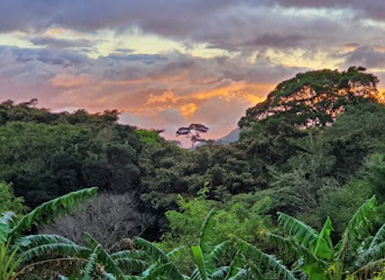 costa-rica/monteverde-cloud-forest/shop/don-juan-tours-monteverde