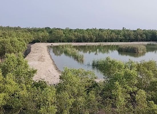 india/sundarbans/shop/sajnekhali-wildlife-sanctuary