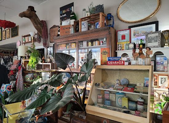 idaho/pocatello/shop/wysteriasage-the-vintage-menagerie