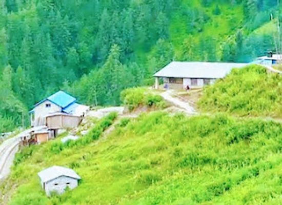 nepal/karnali-province/shop/new-malika-mahadev-general-store