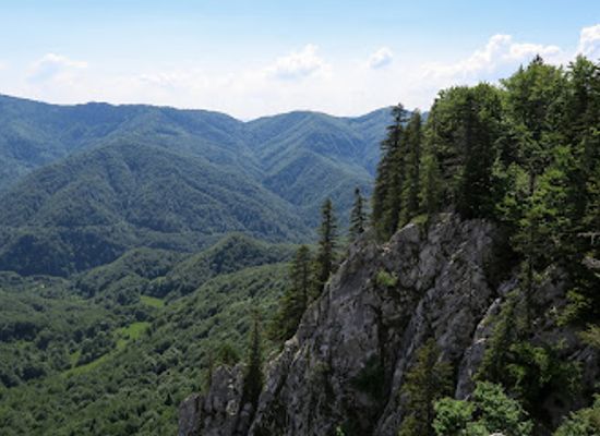 romania/bihor-mountains/shop/bihor-mountains