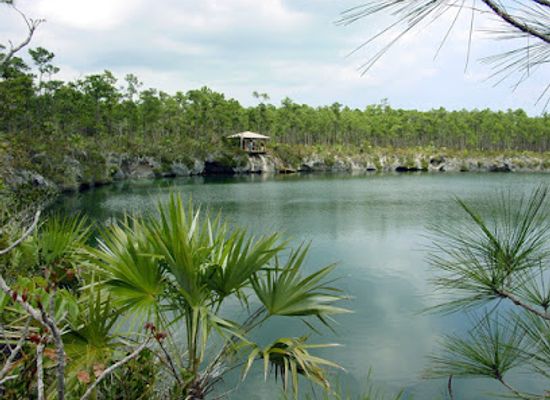 the-bahamas/andros/shop/blue-holes-national-park