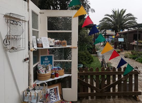 namibia/erongo/shop/the-shed-indoor-market-gift-shop-and-tea-garden