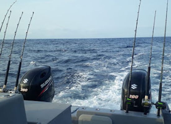 mozambique/ponta-do-ouro/shop/suzuki-marine-ponta-do-ouro