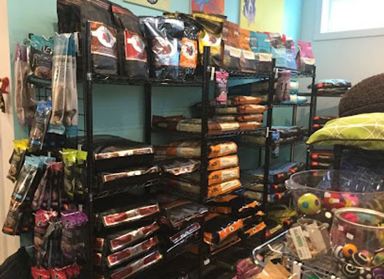 rhode-island/newport-county/shop/island-animal