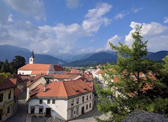 slovenia/kamnik/shop/monna-lisa-trgovina-in-storitve-d-o-o-poslovna-enota-trgovina-lisa