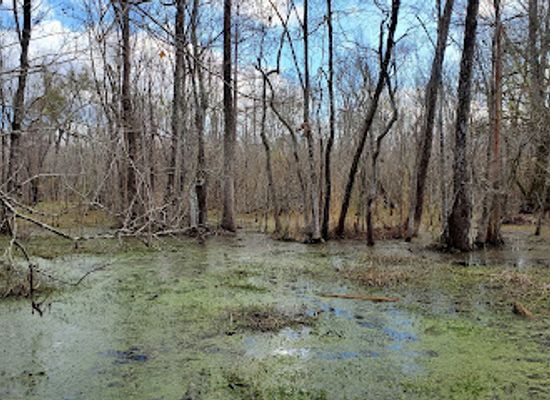louisiana/atchafalaya-basin/shop/atchafalaya-national-wildlife-refuge