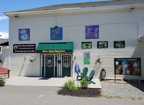 maine/waldo-county/shop/the-maine-alpaca-shop