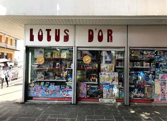 mauritius/port-louis/shop/lotus-d-or-co-ltd