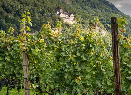 liechtenstein/gnalp-trail/shop/cellars-of-the-prince-of-liechtenstein