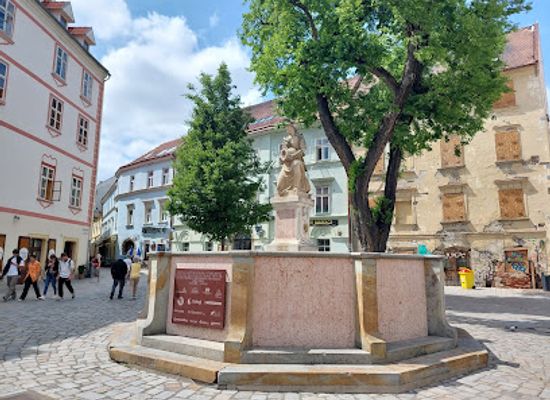 slovakia/bratislava/bratislava-castle-hrad/shop/the-oldest-shop-in-town