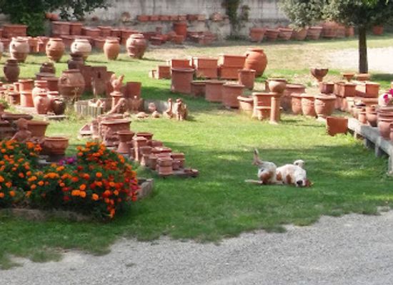 italy/chianti-classico/shop/ceramica-e-terracotta-fontana-di-leo-emi