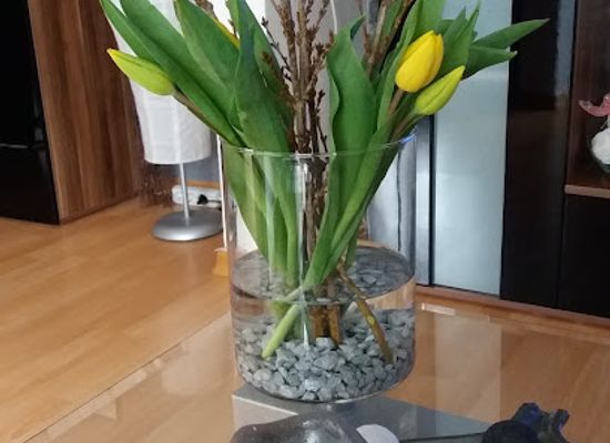 germany/erfurt/shop/nanu-nana