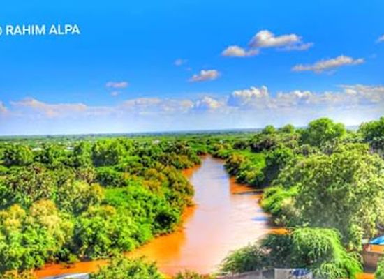 somalia/mudug/shop/apple-company